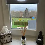 Apartmán Wohnen In Freiberger Villa! Hochwertige Ausstattung! Balkon Und Stellplatz *