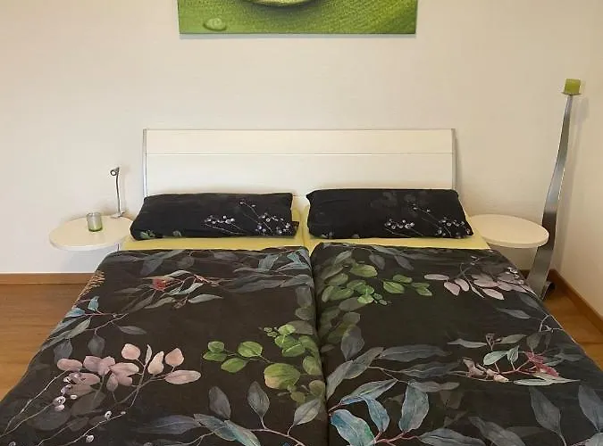 Wohnen In Freiberger Villa! Hochwertige Ausstattung! Balkon Und Stellplatz Apartamento *