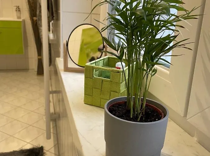 Wohnen In Freiberger Villa! Hochwertige Ausstattung! Balkon Und Stellplatz Apartamento *